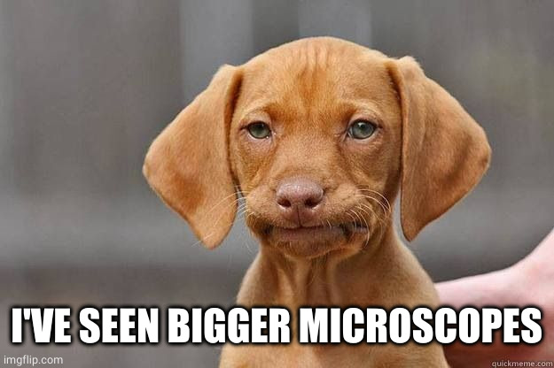 Disapointed Dog | I'VE SEEN BIGGER MICROSCOPES | image tagged in disapointed dog | made w/ Imgflip meme maker