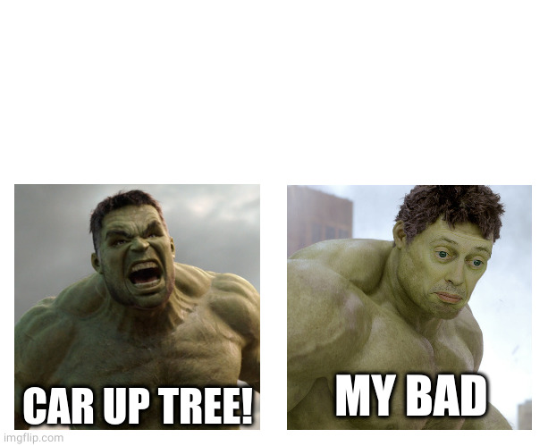Hulk angry then realizes he's wrong | CAR UP TREE! MY BAD | image tagged in hulk angry then realizes he's wrong | made w/ Imgflip meme maker