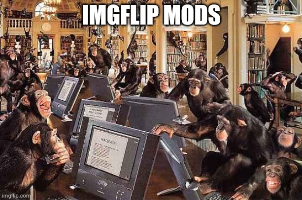 monkeys on computers | IMGFLIP MODS | image tagged in monkeys on computers | made w/ Imgflip meme maker