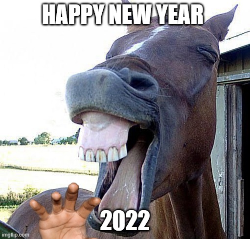 HAPPY NEW YEAR; 2022 | made w/ Imgflip meme maker