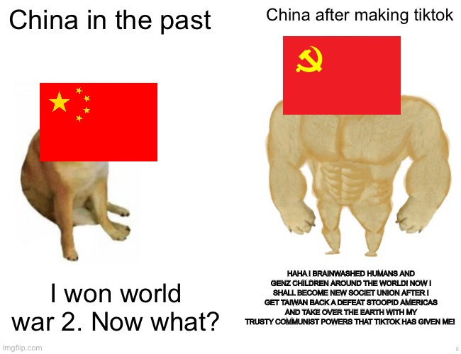 HAHA I BRAINWASHED HUMANS AND GENZ CHILDREN AROUND THE WORLD! NOW I SHALL BECOME NEW SOCIET UNION AFTER I GET TAIWAN BACK A DEFEAT STOOPID AMERICAS AND TAKE OVER THE EARTH WITH MY TRUSTY COMMUNIST POWERS THAT TIKTOK HAS GIVEN ME! | image tagged in memes | made w/ Imgflip meme maker