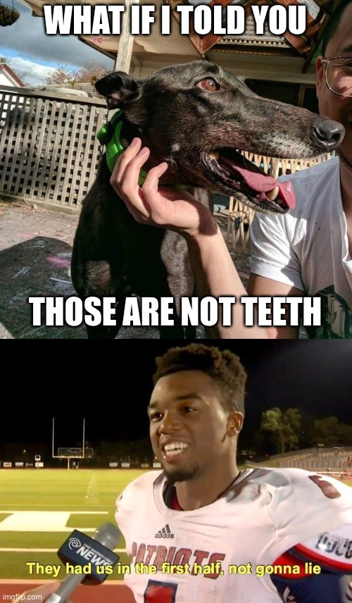 HOLD UP | WHAT IF I TOLD YOU; THOSE ARE NOT TEETH | image tagged in they had us in the first half,memes,funny,funny memes,perspective | made w/ Imgflip meme maker