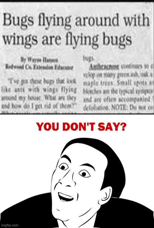 wow bugs with wings are flying bugs? i never knew that | image tagged in memes,you don't say | made w/ Imgflip meme maker