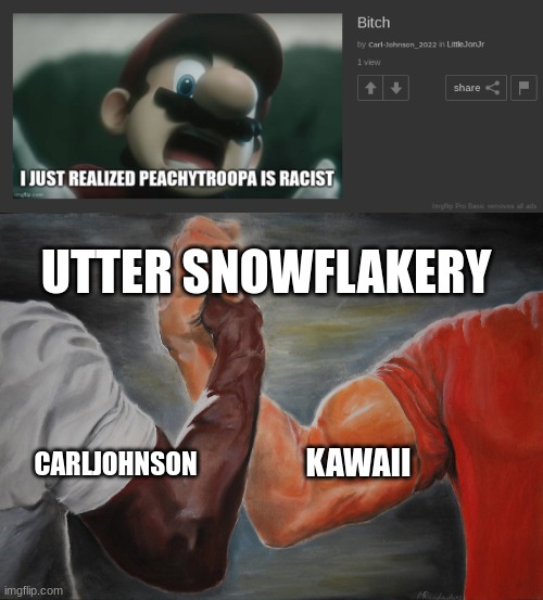  UTTER SNOWFLAKERY; KAWAII; CARLJOHNSON | image tagged in memes,epic handshake | made w/ Imgflip meme maker