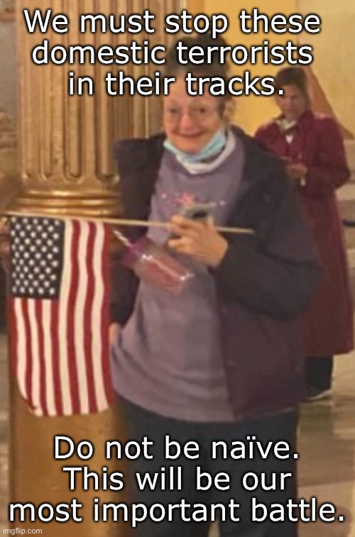 Never forget January 6 | We must stop these 
domestic terrorists 
in their tracks. Do not be naïve. This will be our most important battle. | image tagged in meemaw at the capitol | made w/ Imgflip meme maker