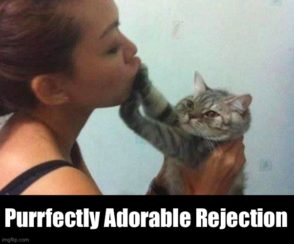 Purrfectly Adorable Rejection | made w/ Imgflip meme maker