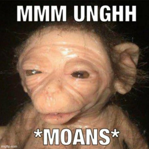 bro i found an entire song dedicated to being encased in concrete alive im feeling a lil distrubed | made w/ Imgflip meme maker