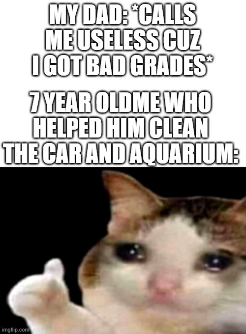 :,( | MY DAD: *CALLS ME USELESS CUZ I GOT BAD GRADES*; 7 YEAR OLDME WHO HELPED HIM CLEAN THE CAR AND AQUARIUM: | image tagged in sad cat thumbs up | made w/ Imgflip meme maker
