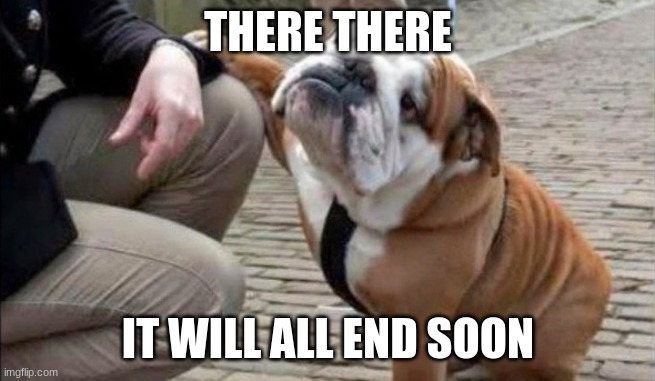 There There Dog | THERE THERE IT WILL ALL END SOON | image tagged in there there dog | made w/ Imgflip meme maker