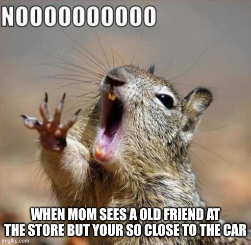 noooooooooooooooooooooooo | WHEN MOM SEES A OLD FRIEND AT THE STORE BUT YOUR SO CLOSE TO THE CAR | image tagged in noooooooooooooooooooooooo | made w/ Imgflip meme maker