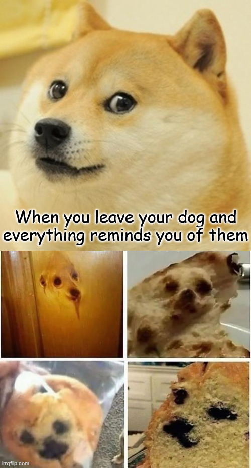 When you leave your dog and everything reminds you of them | image tagged in memes,doge | made w/ Imgflip meme maker