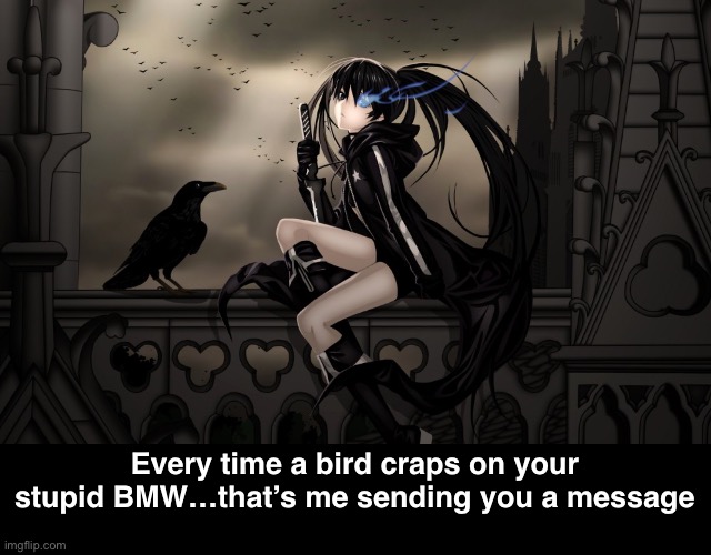 We All Have That One Ex-boyfriend Who Just Royally Screwed Up and Hurt Us | Every time a bird craps on your stupid BMW…that’s me sending you a message | image tagged in funny memes,relationships | made w/ Imgflip meme maker