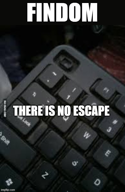 No escape Findom | FINDOM | image tagged in no escape | made w/ Imgflip meme maker