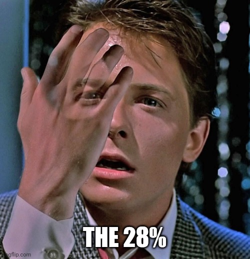 Marty McFly Invisible Hand | THE 28% | image tagged in marty mcfly invisible hand | made w/ Imgflip meme maker