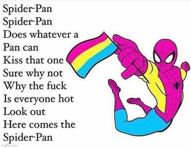 You had biderman, Now you have.... | image tagged in spider pan | made w/ Imgflip meme maker
