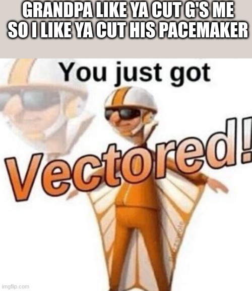 You just got vectored | GRANDPA LIKE YA CUT G'S ME SO I LIKE YA CUT HIS PACEMAKER | image tagged in you just got vectored | made w/ Imgflip meme maker