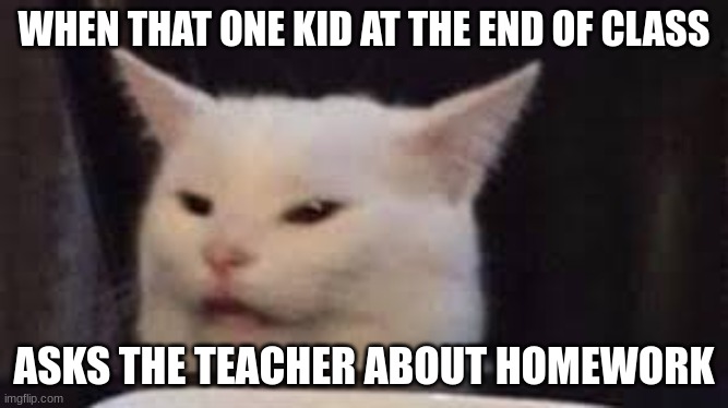 When That One Kid... | WHEN THAT ONE KID AT THE END OF CLASS; ASKS THE TEACHER ABOUT HOMEWORK | image tagged in cats,school meme,reality,memes | made w/ Imgflip meme maker