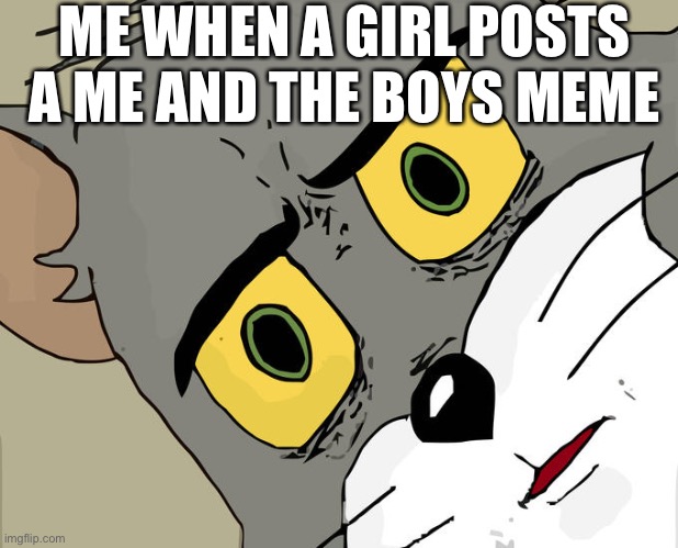 Me and the… | ME WHEN A GIRL POSTS A ME AND THE BOYS MEME | image tagged in memes,unsettled tom,true,funny memes | made w/ Imgflip meme maker