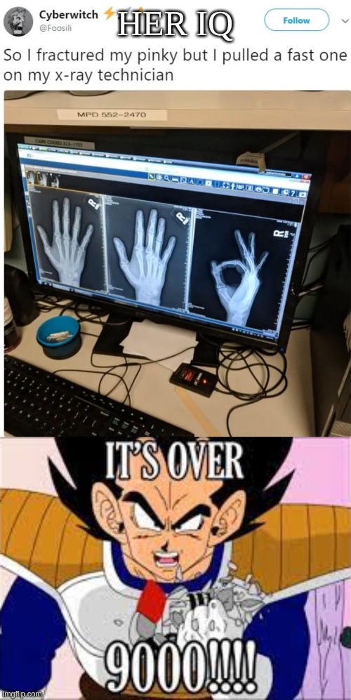 IT´Ś OVER 9000!!!! | HER IQ | image tagged in it s over 9000 | made w/ Imgflip meme maker