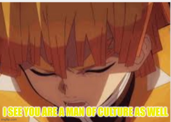 I SEE YOU ARE A MAN OF CULTURE AS WELL | made w/ Imgflip meme maker