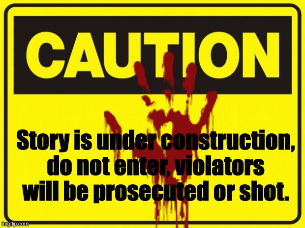 Still working on the story. | Story is under construction, do not enter, violators will be prosecuted or shot. | image tagged in caution | made w/ Imgflip meme maker