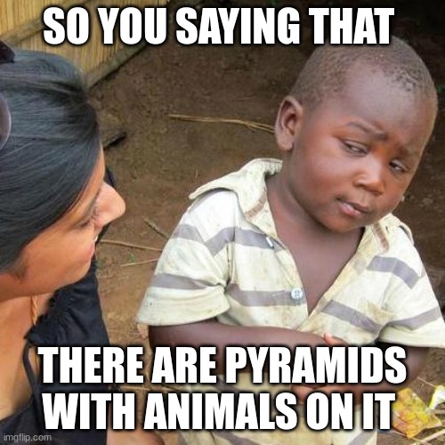 Third World Skeptical Kid Meme | SO YOU SAYING THAT; THERE ARE PYRAMIDS WITH ANIMALS ON IT | image tagged in memes,third world skeptical kid | made w/ Imgflip meme maker