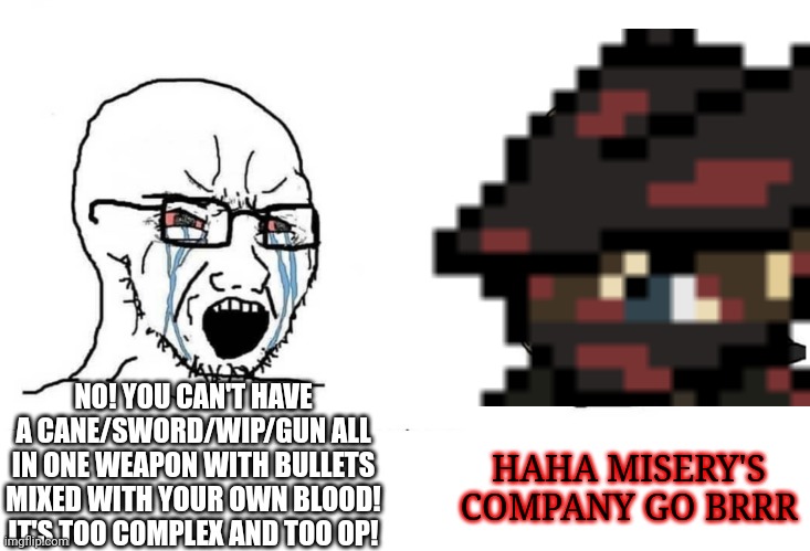 HAHA MISERY'S COMPANY GO BRRR; NO! YOU CAN'T HAVE A CANE/SWORD/WIP/GUN ALL IN ONE WEAPON WITH BULLETS MIXED WITH YOUR OWN BLOOD! IT'S TOO COMPLEX AND TOO OP! | image tagged in aidan | made w/ Imgflip meme maker