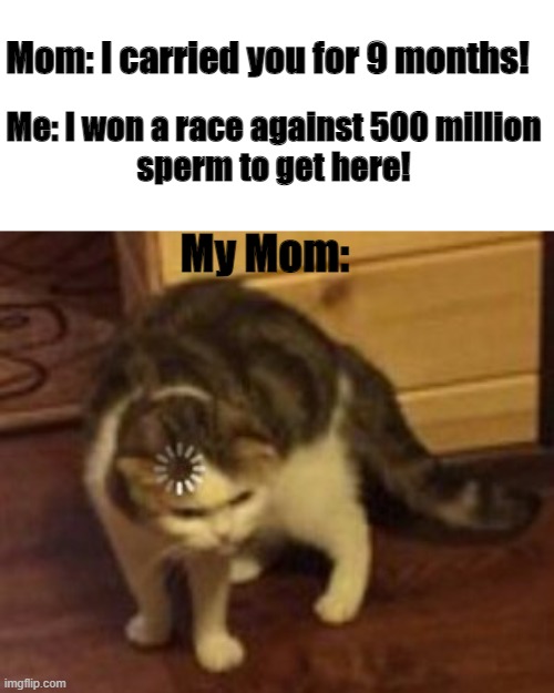 created by me :) | Mom: I carried you for 9 months! Me: I won a race against 500 million
sperm to get here! My Mom: | image tagged in loading cat | made w/ Imgflip meme maker