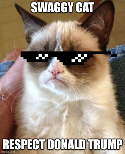 swaggy cat | SWAGGY CAT; RESPECT DONALD TRUMP | image tagged in memes,grumpy cat | made w/ Imgflip meme maker