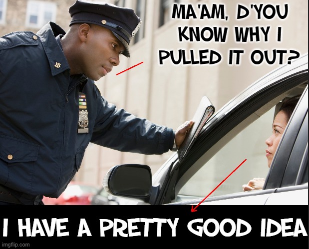 A Cop's First Traffic Stop —oops! right outta the academy | MA'AM, D'YOU
KNOW WHY I
PULLED IT OUT? I HAVE A PRETTY GOOD IDEA | image tagged in vince vance,speeding ticket,traffic stop,police,memes,funny memes | made w/ Imgflip meme maker
