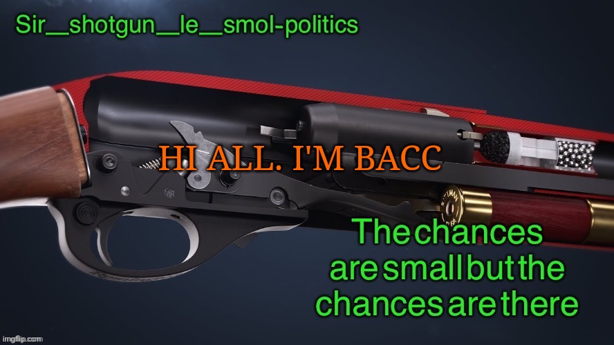 Back babyyyyy | HI ALL. I'M BACC | image tagged in shotgun template again | made w/ Imgflip meme maker
