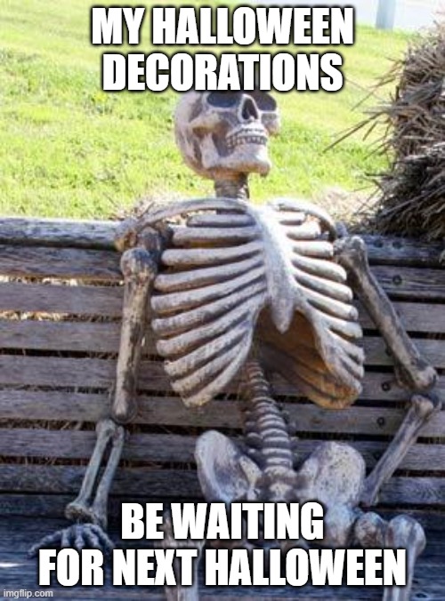 Waiting Skeleton | MY HALLOWEEN DECORATIONS; BE WAITING FOR NEXT HALLOWEEN | image tagged in memes,waiting skeleton | made w/ Imgflip meme maker