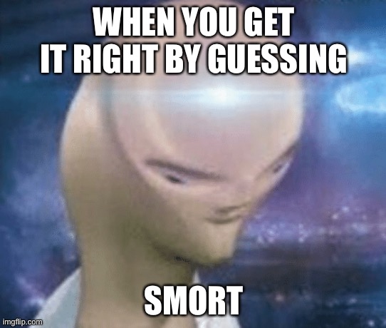 SMORT | WHEN YOU GET IT RIGHT BY GUESSING; SMORT | image tagged in smort | made w/ Imgflip meme maker