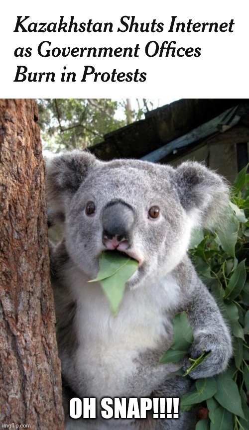 OH SNAP!!!! | image tagged in memes,surprised koala,kazakhstan,internet | made w/ Imgflip meme maker