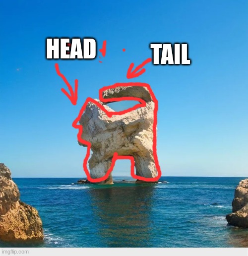 HEAD TAIL | made w/ Imgflip meme maker