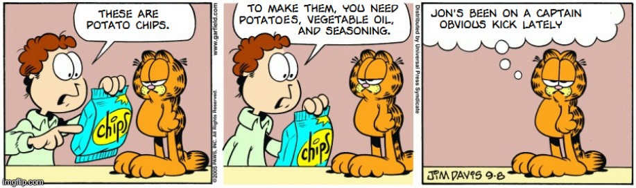 Thank you Captain obvious | image tagged in potato chips,thanks captain obvious,chips,garfield,comics/cartoons,comics | made w/ Imgflip meme maker