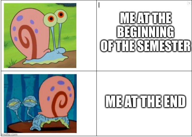 I don't know what to title this. | ME AT THE BEGINNING OF THE SEMESTER; ME AT THE END | image tagged in school | made w/ Imgflip meme maker