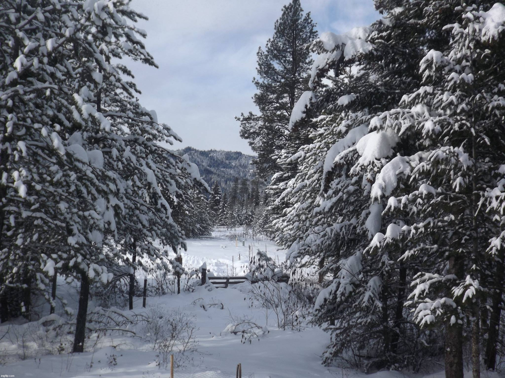 What it looks like out our bedroom window - Imgflip