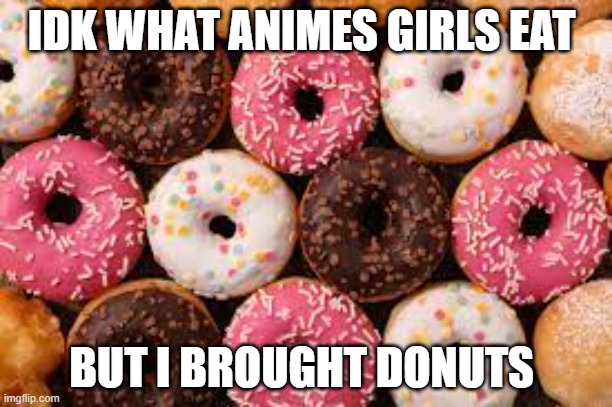 from: crusader to: anime_girl_army | IDK WHAT ANIMES GIRLS EAT; BUT I BROUGHT DONUTS | image tagged in gift,donuts,anime girl,army | made w/ Imgflip meme maker
