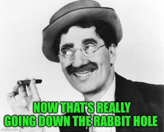 Groucho Marx | NOW THAT’S REALLY GOING DOWN THE RABBIT HOLE | image tagged in groucho marx | made w/ Imgflip meme maker