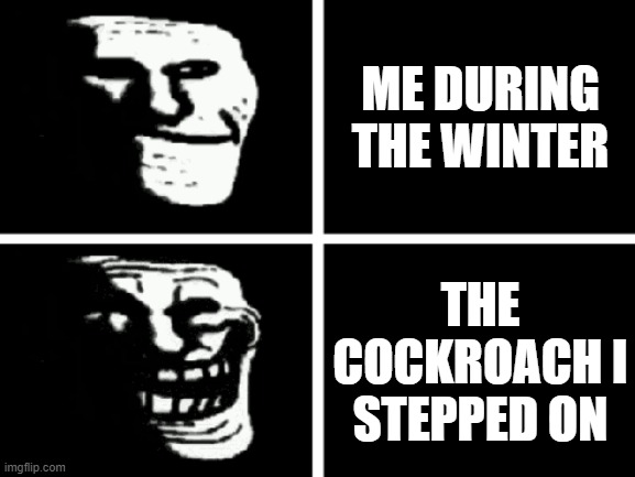 Normal trollface VS. Trolling trollface | ME DURING THE WINTER; THE COCKROACH I STEPPED ON | image tagged in normal trollface vs trolling trollface,memes,troll face | made w/ Imgflip meme maker