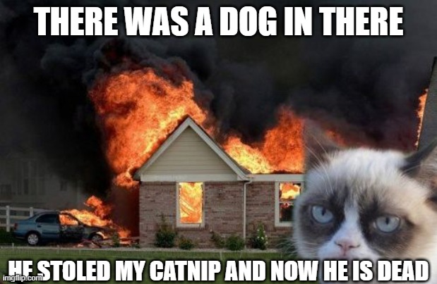 Burn Kitty Meme | THERE WAS A DOG IN THERE; HE STOLED MY CATNIP AND NOW HE IS DEAD | image tagged in memes,burn kitty,grumpy cat | made w/ Imgflip meme maker