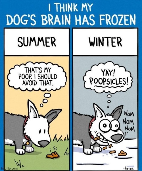 Summer and winter | image tagged in summer,winter,difference,comics/cartoons,comics,comic | made w/ Imgflip meme maker