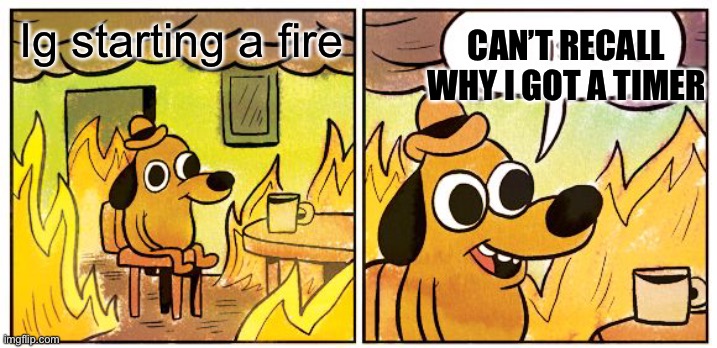 This Is Fine Meme | Ig starting a fire CAN’T RECALL WHY I GOT A TIMER | image tagged in memes,this is fine | made w/ Imgflip meme maker