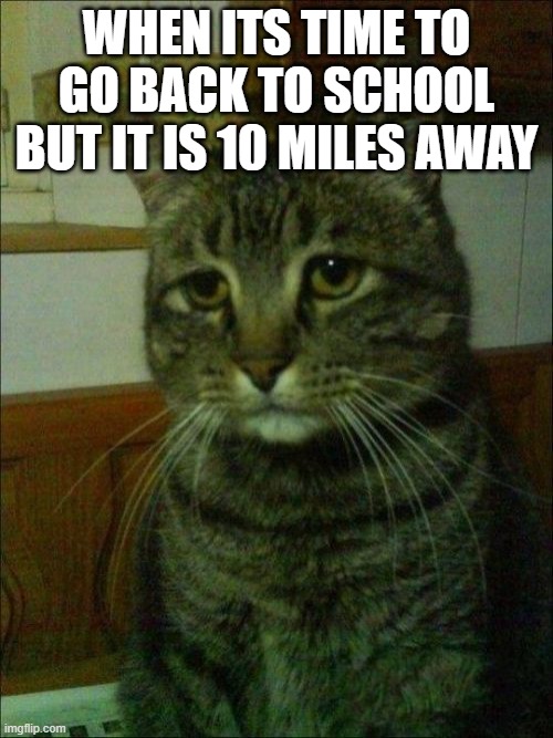 Depressed Cat | WHEN ITS TIME TO GO BACK TO SCHOOL BUT IT IS 10 MILES AWAY | image tagged in memes,depressed cat | made w/ Imgflip meme maker