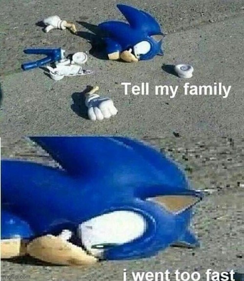 Sonic went too fast | made w/ Imgflip meme maker
