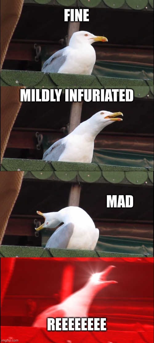 Inhaling Seagull Meme | FINE; MILDLY INFURIATED; MAD; REEEEEEEE | image tagged in memes,inhaling seagull | made w/ Imgflip meme maker