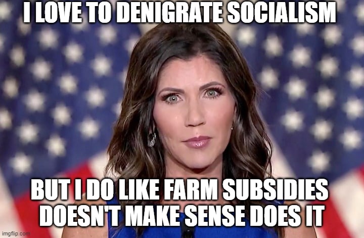 Kristi Noem | I LOVE TO DENIGRATE SOCIALISM; BUT I DO LIKE FARM SUBSIDIES 
DOESN'T MAKE SENSE DOES IT | image tagged in kristi noem | made w/ Imgflip meme maker