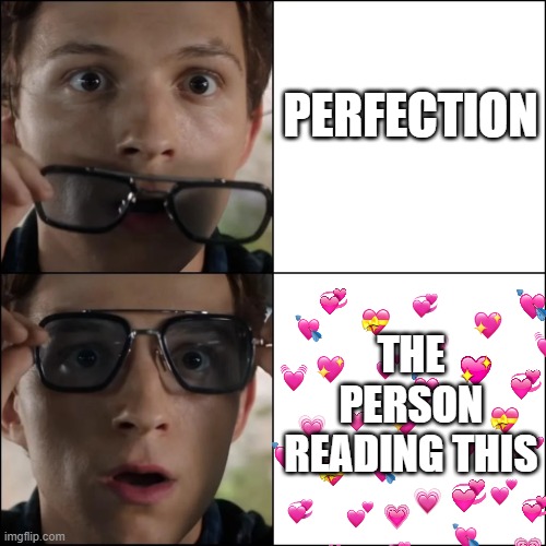 woah... | PERFECTION; THE PERSON READING THIS | image tagged in wholesome,spiderman,sunglasses | made w/ Imgflip meme maker