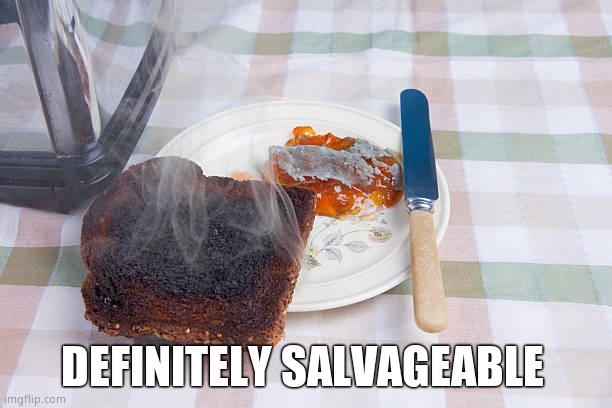 DEFINITELY SALVAGEABLE | made w/ Imgflip meme maker